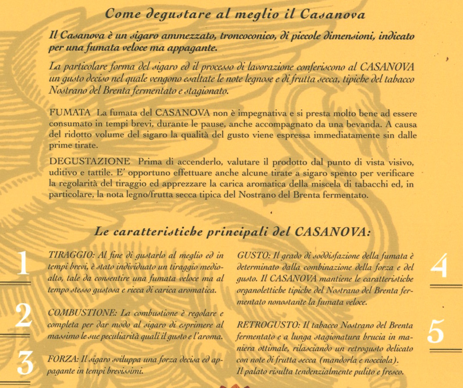 NOSTRANO DEL BRENTA CASANOVA